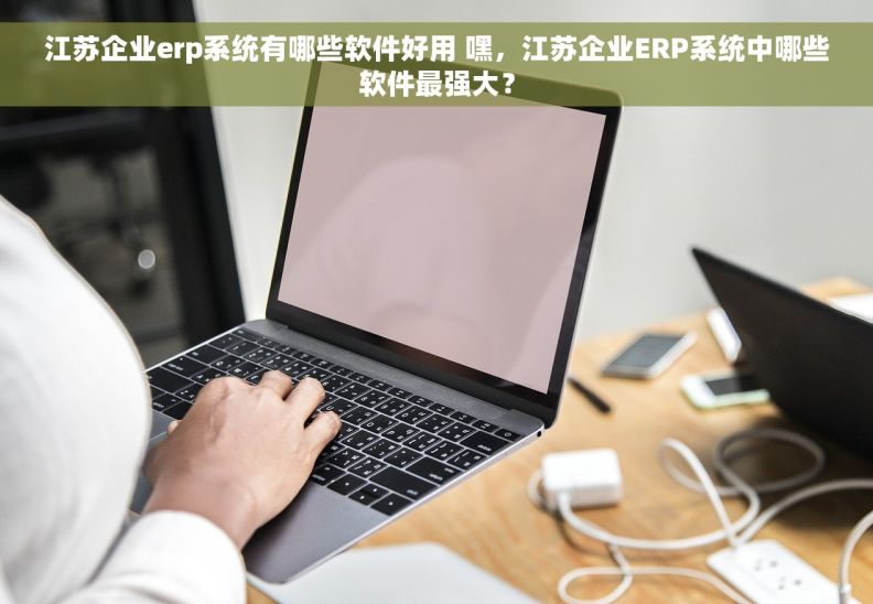 江苏企业erp系统有哪些软件好用 嘿，江苏企业ERP系统中哪些软件最强大？