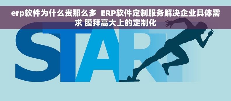 erp软件为什么贵那么多  ERP软件定制服务解决企业具体需求 膜拜高大上的定制化