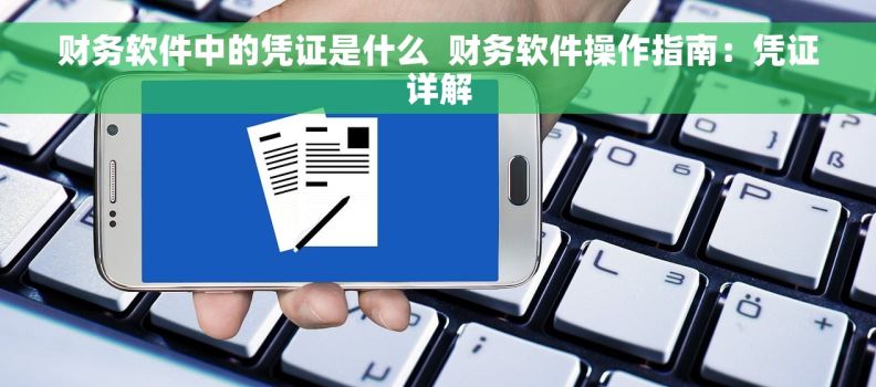 财务软件中的凭证是什么  财务软件操作指南：凭证详解