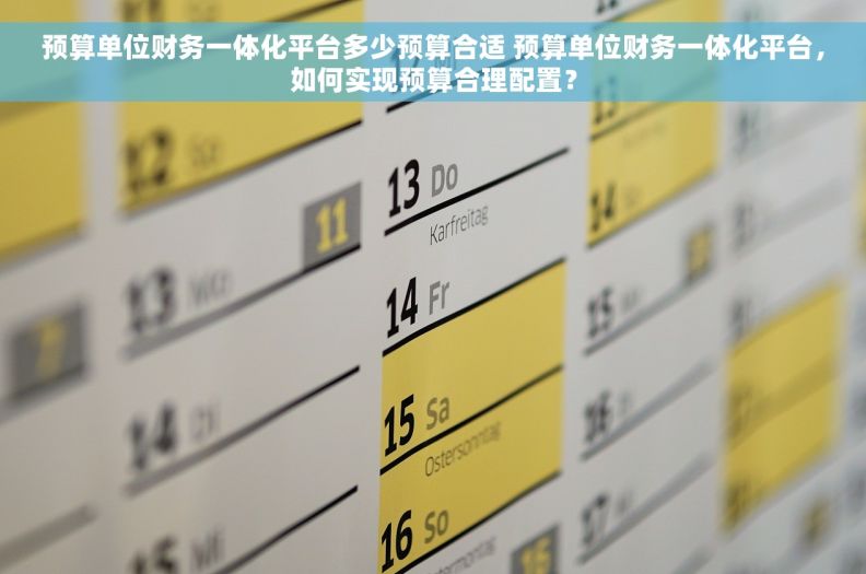 预算单位财务一体化平台多少预算合适 预算单位财务一体化平台，如何实现预算合理配置？