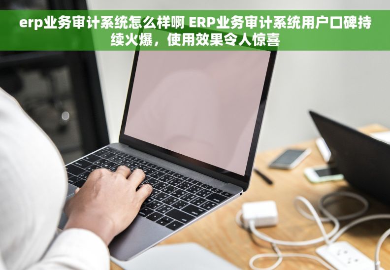 erp业务审计系统怎么样啊 ERP业务审计系统用户口碑持续火爆，使用效果令人惊喜