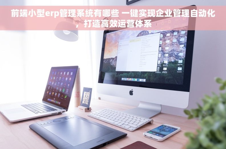 前端小型erp管理系统有哪些 一键实现企业管理自动化，打造高效运营体系