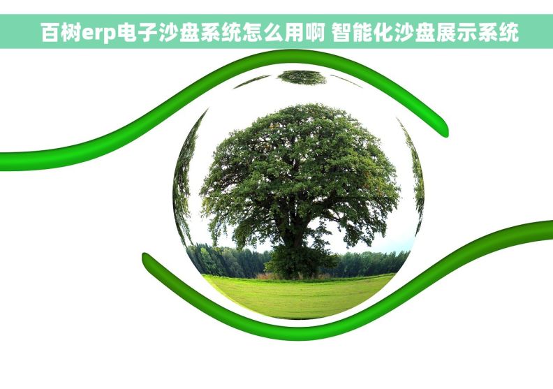  百树erp电子沙盘系统怎么用啊 智能化沙盘展示系统