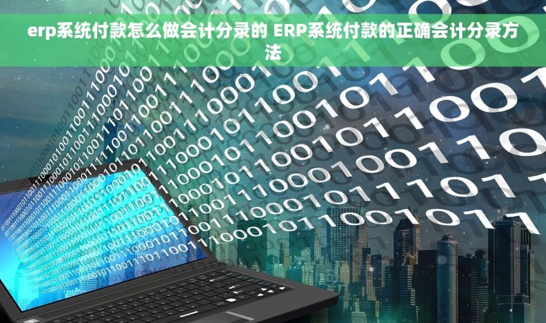 erp系统付款怎么做会计分录的 ERP系统付款的正确会计分录方法