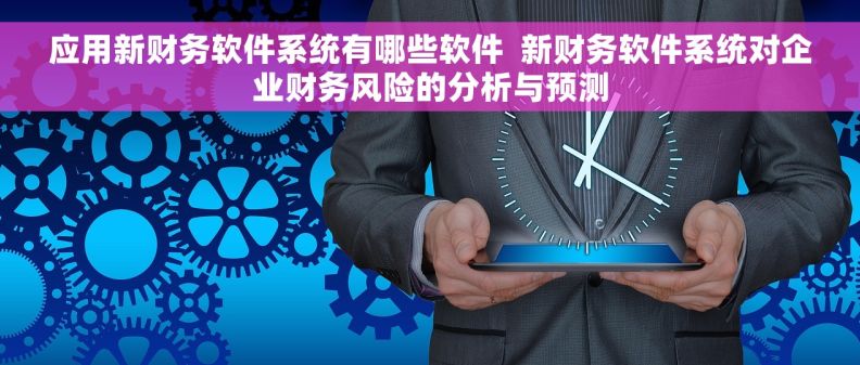 应用新财务软件系统有哪些软件  新财务软件系统对企业财务风险的分析与预测