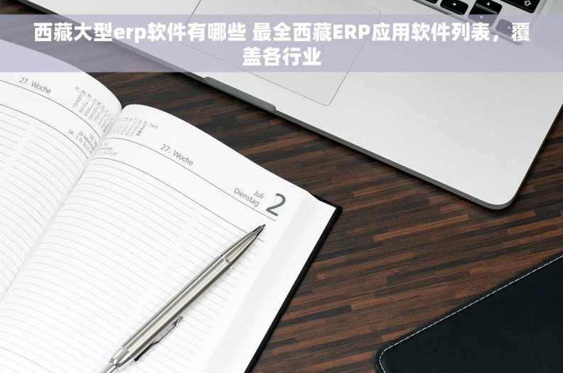 西藏大型erp软件有哪些 最全西藏ERP应用软件列表，覆盖各行业