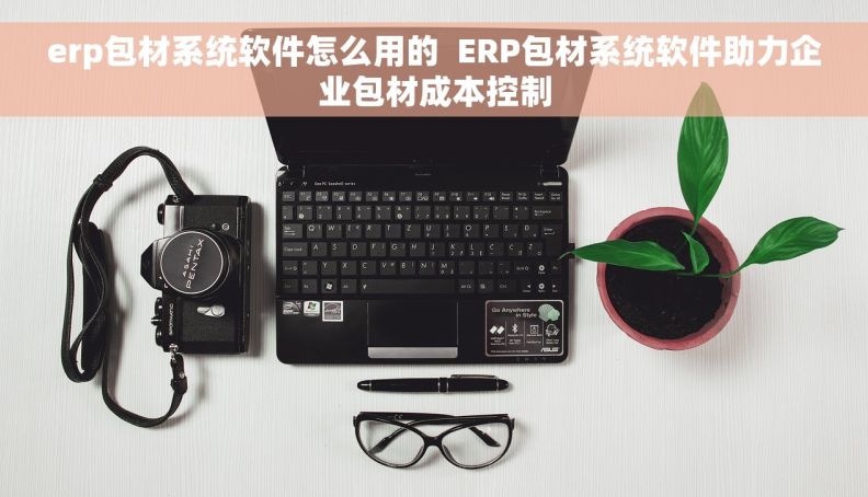 erp包材系统软件怎么用的  ERP包材系统软件助力企业包材成本控制