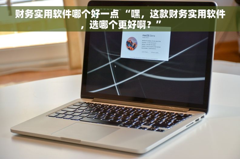 财务实用软件哪个好一点 “嘿，这款财务实用软件，选哪个更好啊？”