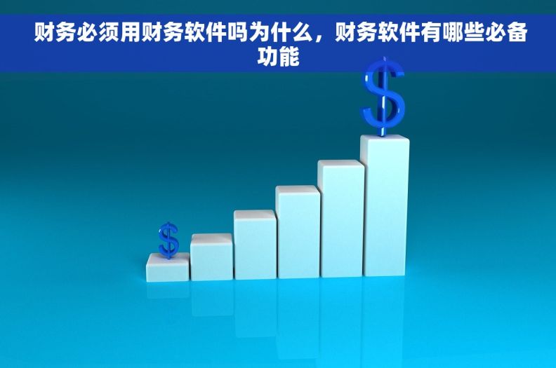  财务必须用财务软件吗为什么，财务软件有哪些必备功能