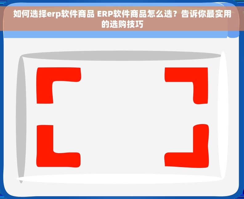 如何选择erp软件商品 ERP软件商品怎么选？告诉你最实用的选购技巧