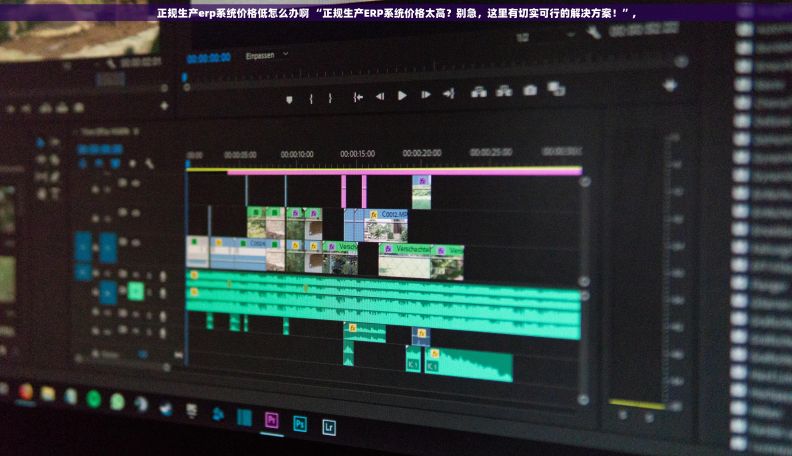 正规生产erp系统价格低怎么办啊 “正规生产ERP系统价格太高？别急，这里有切实可行的解决方案！”,