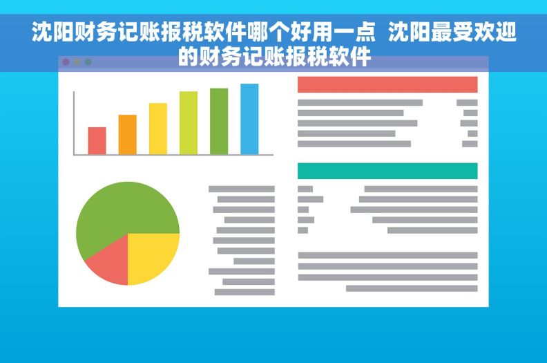 沈阳财务记账报税软件哪个好用一点  沈阳最受欢迎的财务记账报税软件