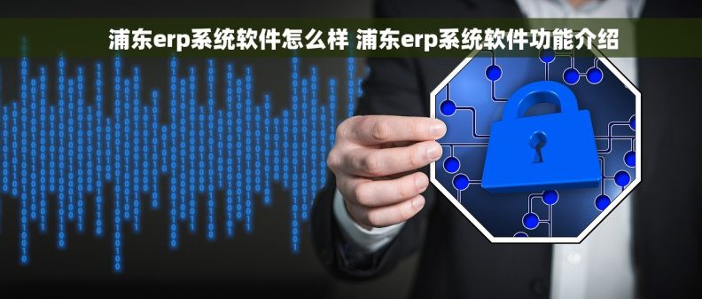     浦东erp系统软件怎么样 浦东erp系统软件功能介绍