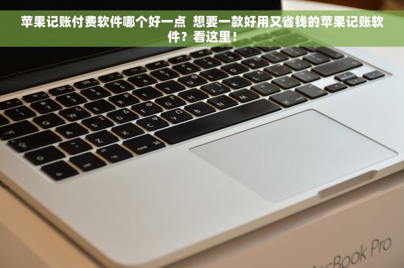 苹果记账付费软件哪个好一点  想要一款好用又省钱的苹果记账软件？看这里！