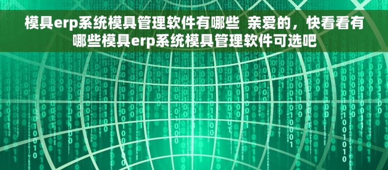 模具erp系统模具管理软件有哪些  亲爱的，快看看有哪些模具erp系统模具管理软件可选吧