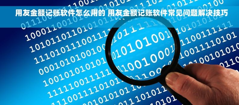   用友金额记账软件怎么用的 用友金额记账软件常见问题解决技巧```