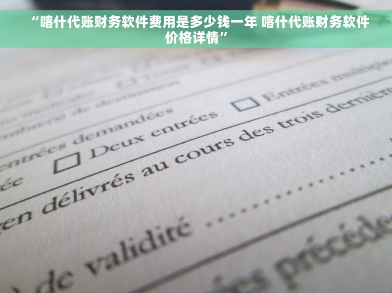  “喀什代账财务软件费用是多少钱一年 喀什代账财务软件价格详情”