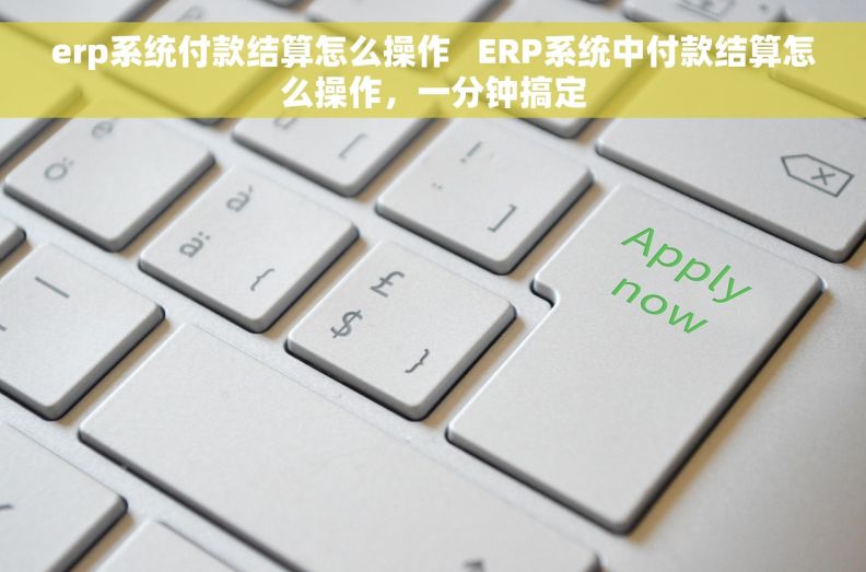 erp系统付款结算怎么操作   ERP系统中付款结算怎么操作，一分钟搞定