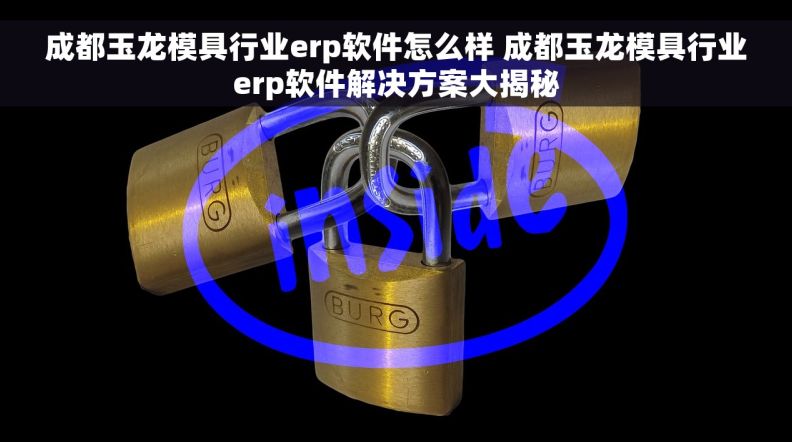 成都玉龙模具行业erp软件怎么样 成都玉龙模具行业erp软件解决方案大揭秘