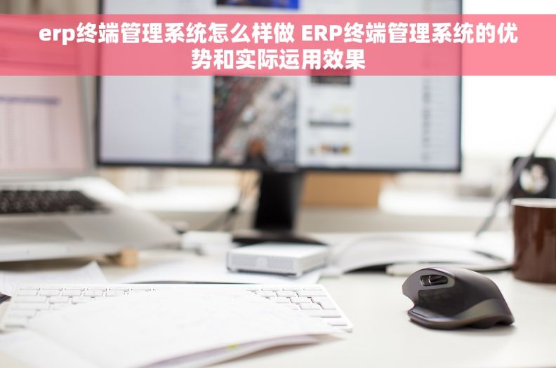 erp终端管理系统怎么样做 ERP终端管理系统的优势和实际运用效果