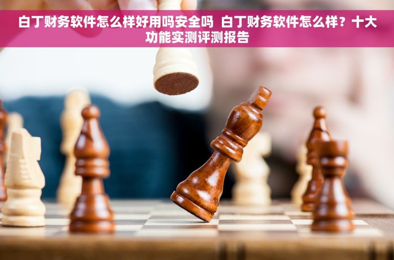 白丁财务软件怎么样好用吗安全吗  白丁财务软件怎么样？十大功能实测评测报告