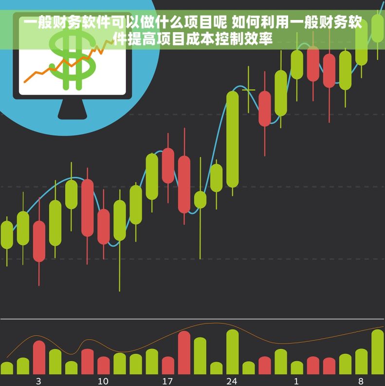 一般财务软件可以做什么项目呢 如何利用一般财务软件提高项目成本控制效率