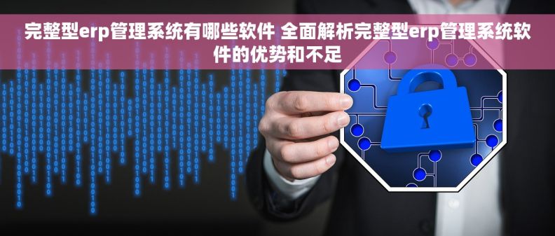 完整型erp管理系统有哪些软件 全面解析完整型erp管理系统软件的优势和不足