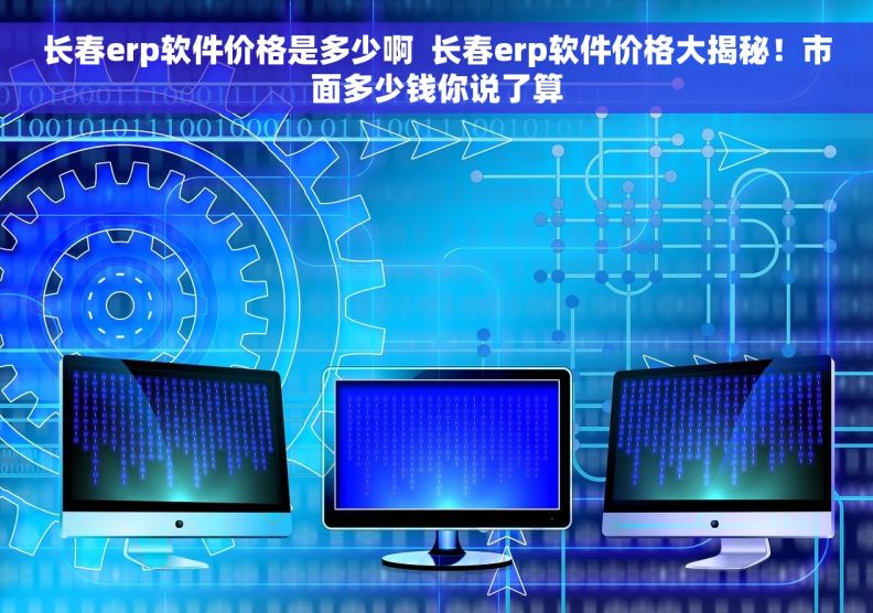 长春erp软件价格是多少啊  长春erp软件价格大揭秘！市面多少钱你说了算