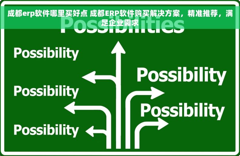 成都erp软件哪里买好点 成都ERP软件购买解决方案，精准推荐，满足企业需求