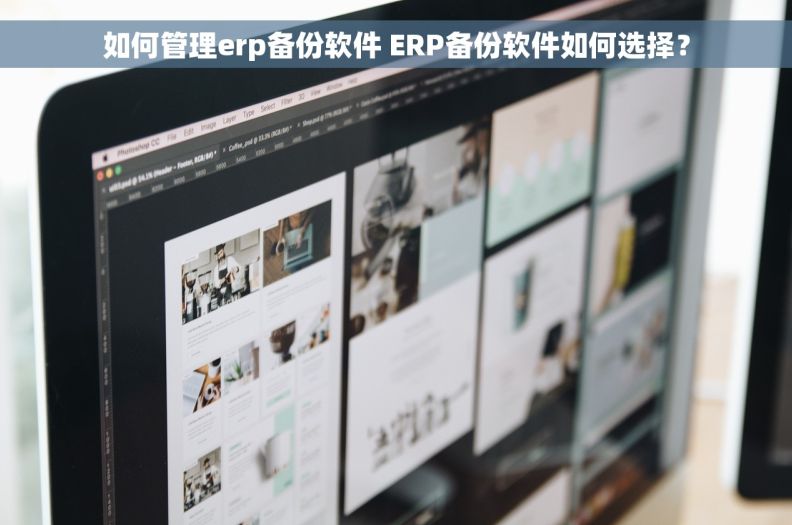 如何管理erp备份软件 ERP备份软件如何选择？