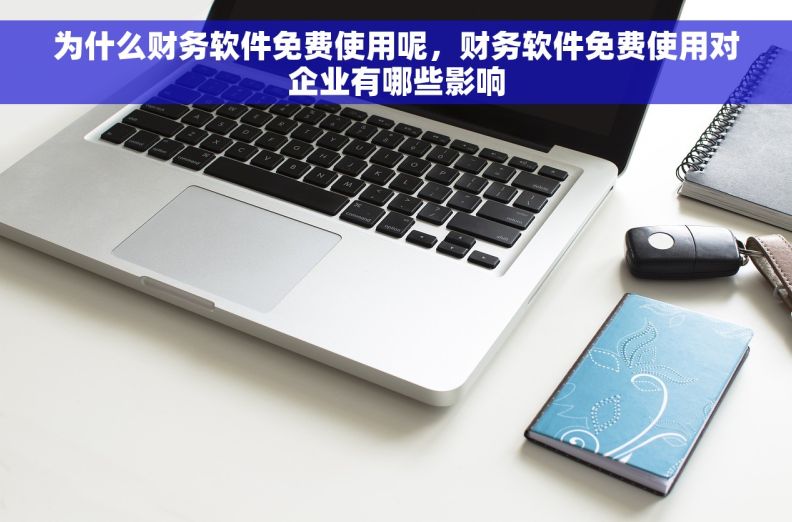 为什么财务软件免费使用呢，财务软件免费使用对企业有哪些影响