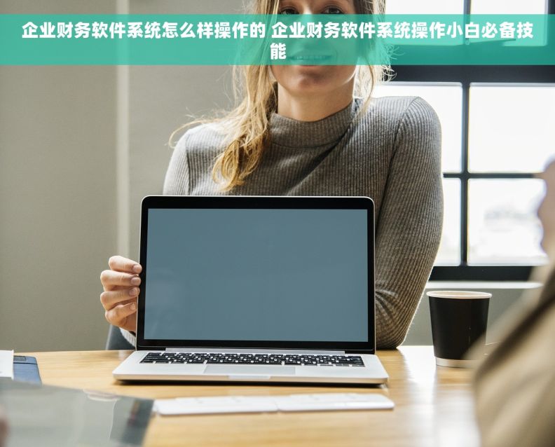 企业财务软件系统怎么样操作的 企业财务软件系统操作小白必备技能