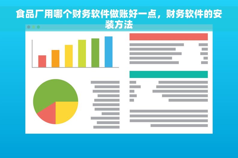 食品厂用哪个财务软件做账好一点，财务软件的安装方法