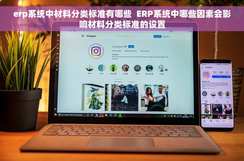 erp系统中材料分类标准有哪些  ERP系统中哪些因素会影响材料分类标准的设置