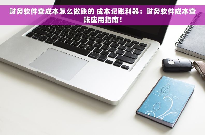 财务软件查成本怎么做账的 成本记账利器：财务软件成本查账应用指南！