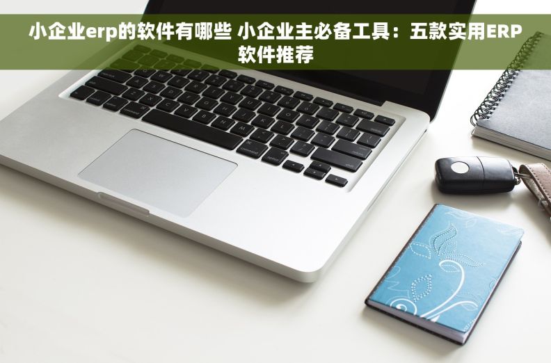 小企业erp的软件有哪些 小企业主必备工具：五款实用ERP软件推荐