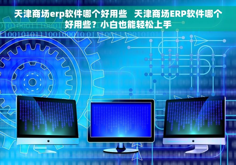 天津商场erp软件哪个好用些   天津商场ERP软件哪个好用些？小白也能轻松上手