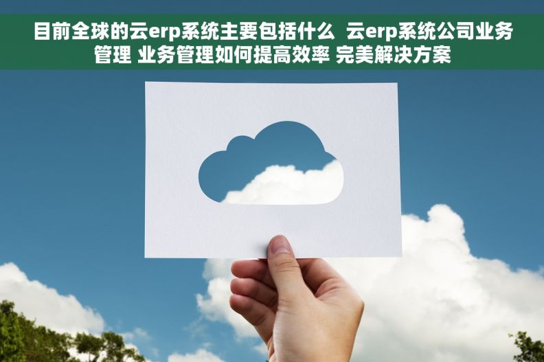 目前全球的云erp系统主要包括什么  云erp系统公司业务管理 业务管理如何提高效率 完美解决方案