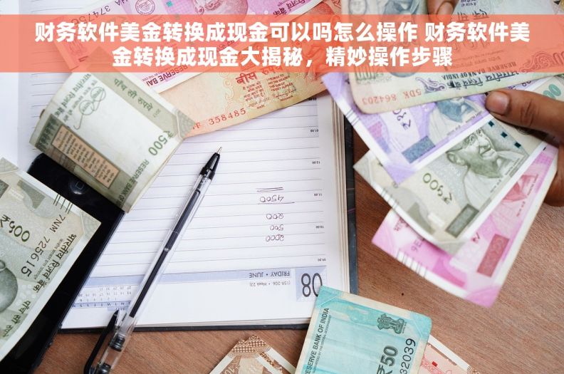 财务软件美金转换成现金可以吗怎么操作 财务软件美金转换成现金大揭秘，精妙操作步骤