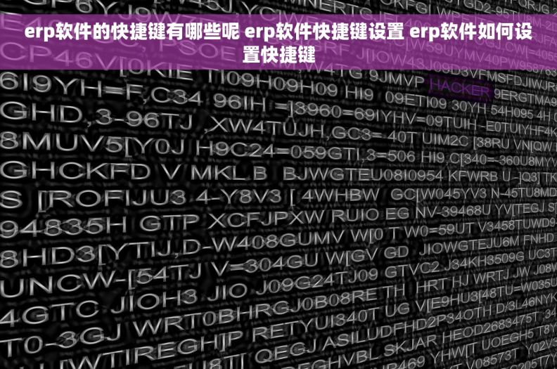 erp软件的快捷键有哪些呢 erp软件快捷键设置 erp软件如何设置快捷键