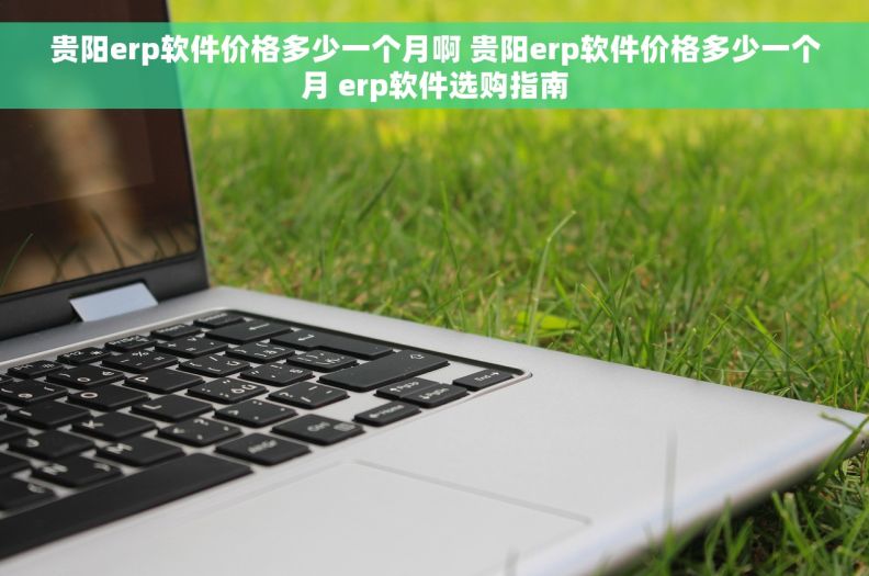 贵阳erp软件价格多少一个月啊 贵阳erp软件价格多少一个月 erp软件选购指南