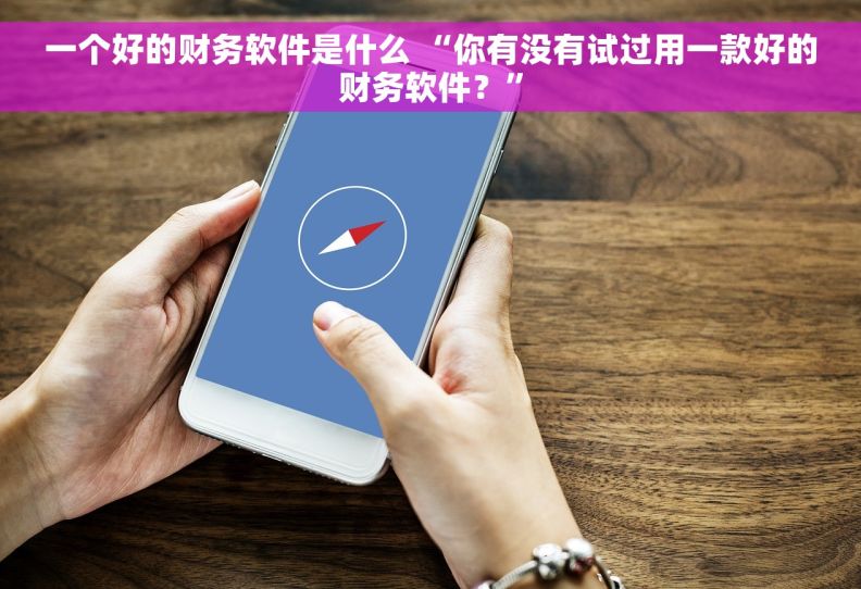 一个好的财务软件是什么 “你有没有试过用一款好的财务软件？”