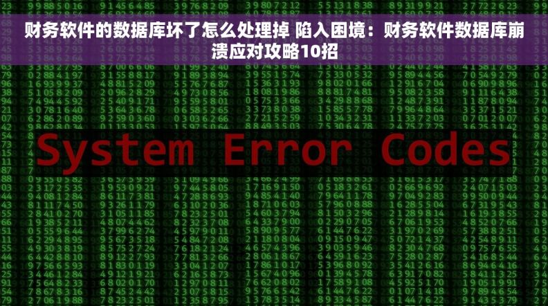 财务软件的数据库坏了怎么处理掉 陷入困境：财务软件数据库崩溃应对攻略10招