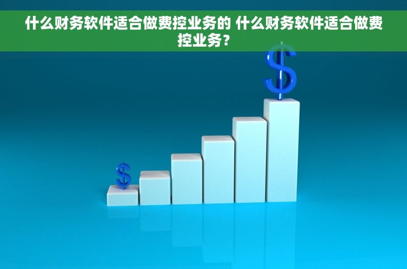 什么财务软件适合做费控业务的 什么财务软件适合做费控业务？