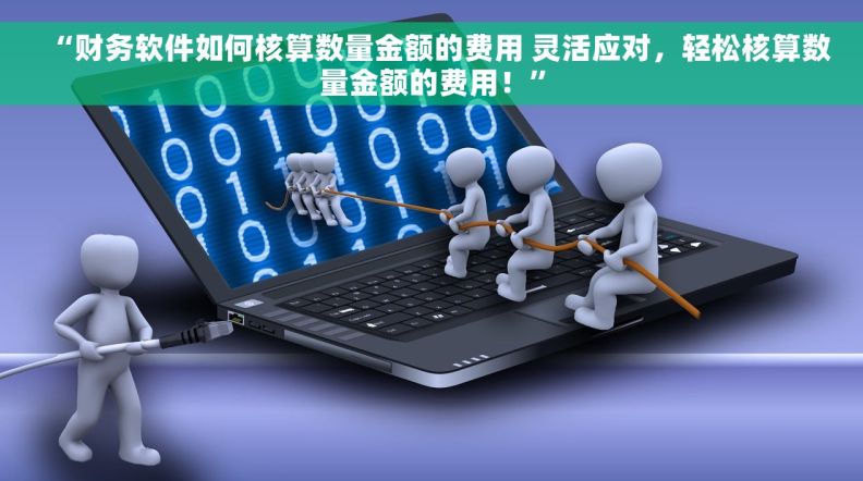 “财务软件如何核算数量金额的费用 灵活应对，轻松核算数量金额的费用！”