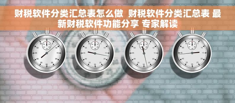 财税软件分类汇总表怎么做  财税软件分类汇总表 最新财税软件功能分享 专家解读