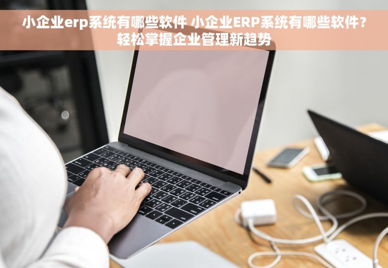 小企业erp系统有哪些软件 小企业ERP系统有哪些软件？轻松掌握企业管理新趋势