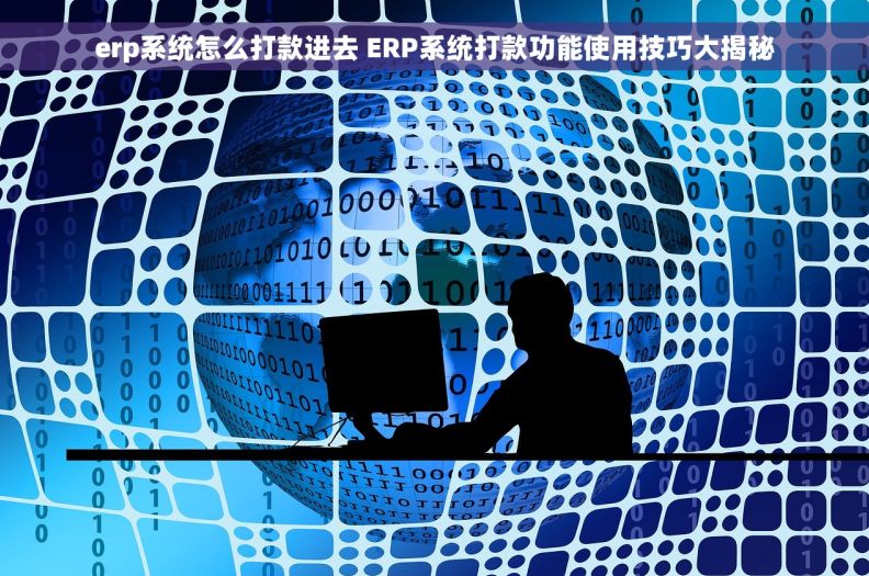 erp系统怎么打款进去 ERP系统打款功能使用技巧大揭秘