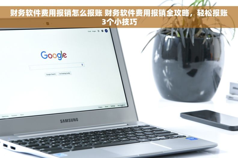 财务软件费用报销怎么报账 财务软件费用报销全攻略，轻松报账3个小技巧