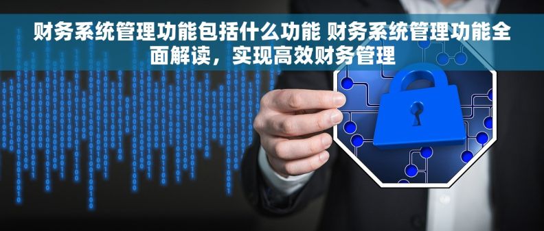 财务系统管理功能包括什么功能 财务系统管理功能全面解读，实现高效财务管理